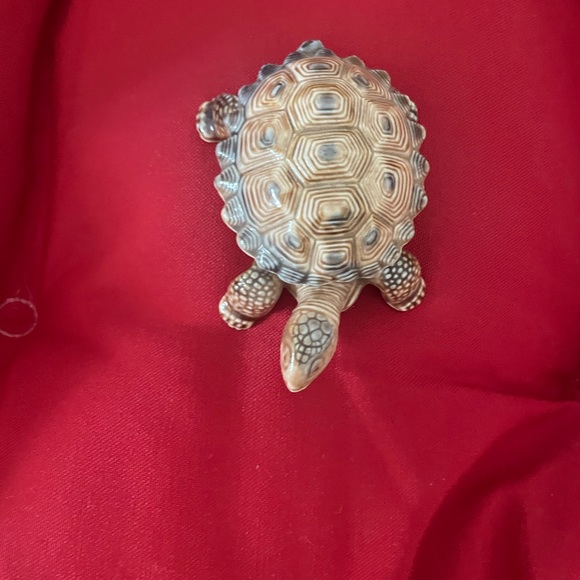 Small turtle - Picture 2 of 4